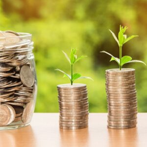 Optional Giving